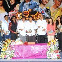Rajendra Audio Release - Pictures | Picture 123394